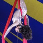 Mississippi State Fair: Zerbini Family Circus